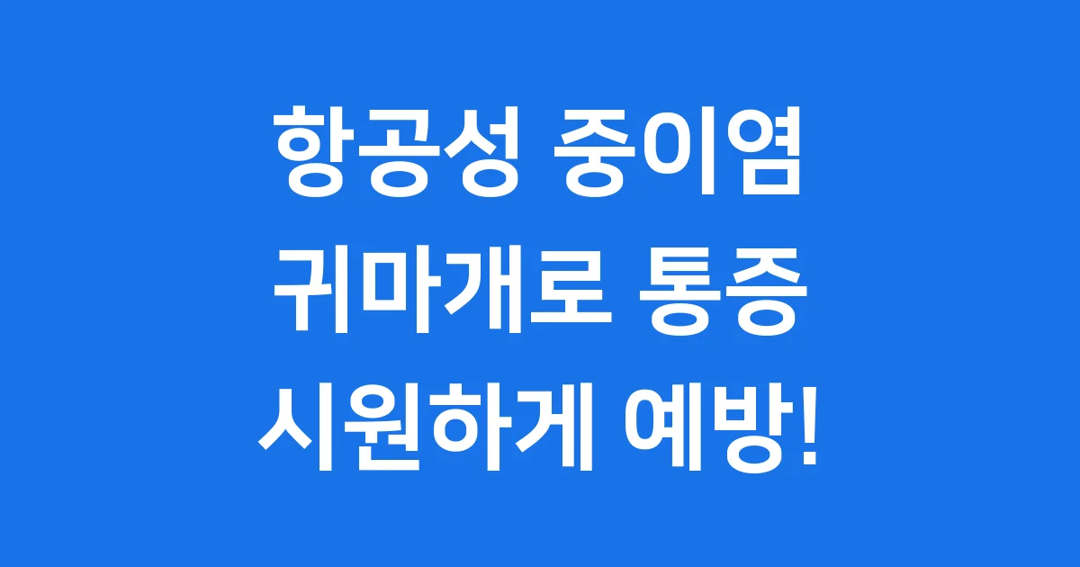 항공성 중이염 귀마개 비행 통증 예방