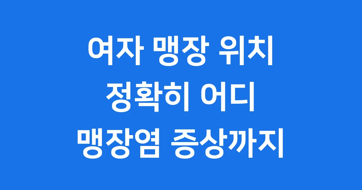 여자 맹장 위치 정확히 어디에 있을까요 맹장염 증상까지