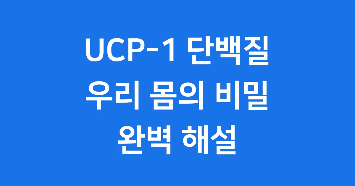 UCP-1 단백질, 우리 몸의 따뜻한 비밀