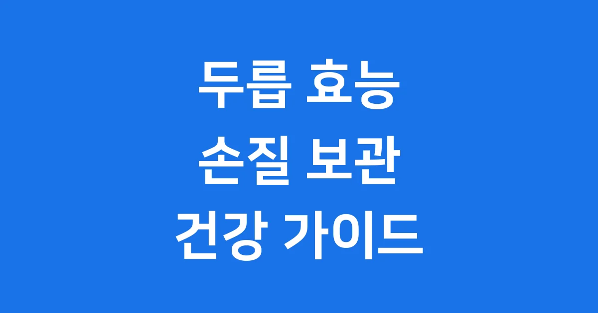 두릅 효능 손질 보관법 봄철 건강 지키는 법