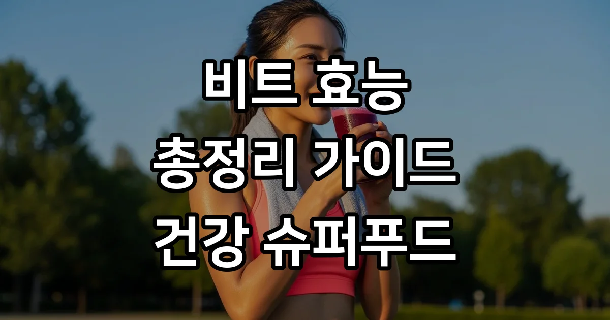 비트효능 혈관건강부터 면역력까지 슈퍼푸드 완벽정리