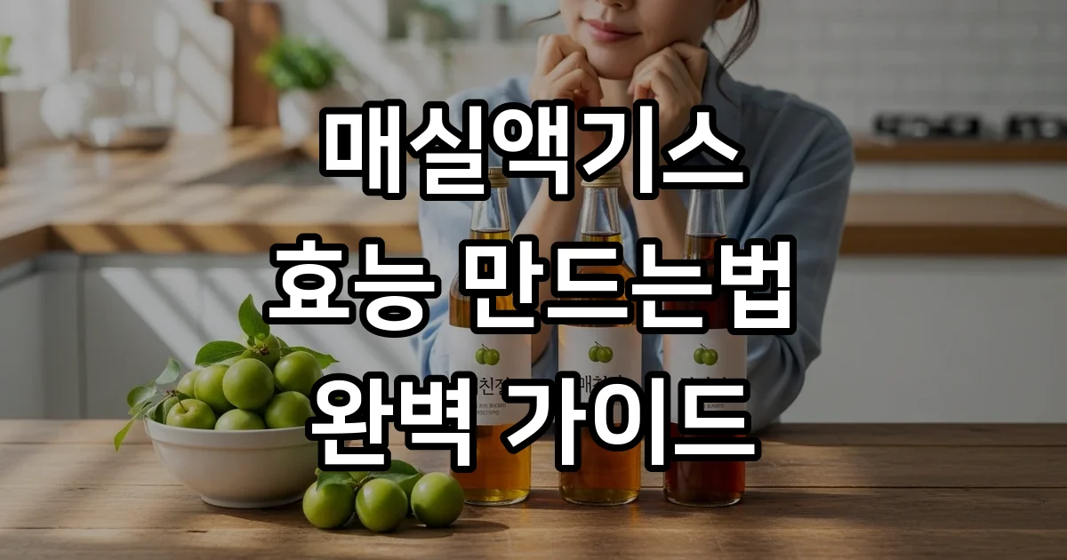 매실액기스 효능 만드는법 보관법 총정리