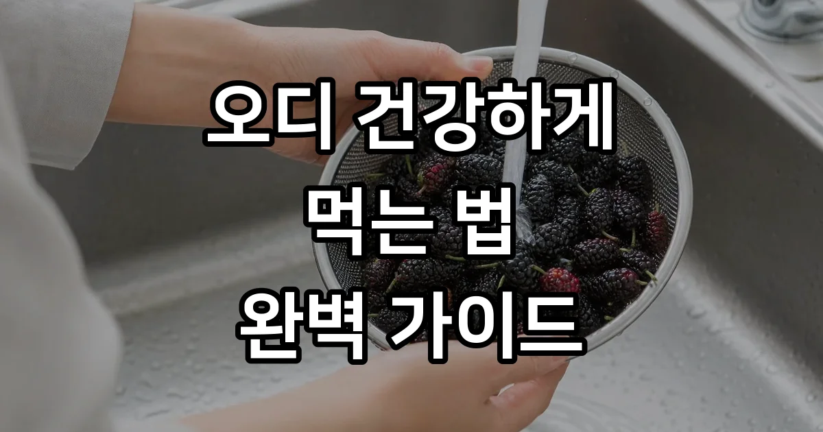 오디 먹는 법 효능 보관법 건강하게 즐기는 방법 오디 먹는 법 효능 보관법 건강하게 즐기는 방법