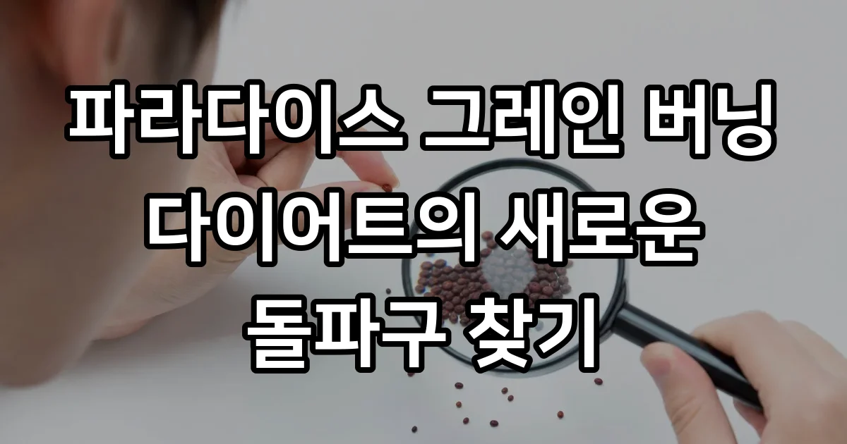 파라다이스 그레인 버닝 핵심 효능 섭취 방법 주의사항